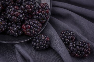 Siyah arka planda siyah bir kasede böğürtlen.