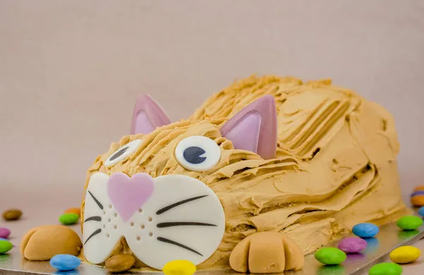 Смішний Кіт Краваткою Тортами День Народження — стокове фото
