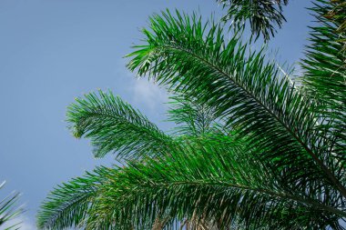  Avuç içi gökyüzü ve bulutların üstünde