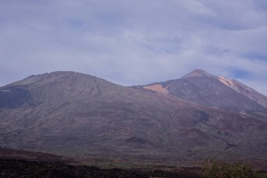 Arkaplan için büyük ağaç derisinden eski doku 