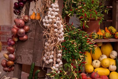 çok renkli sarımsak ve soğan ekran düzenleme 