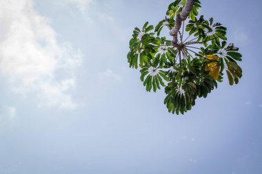  Avuç içi gökyüzü ve bulutların üstünde