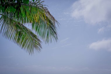  Avuç içi gökyüzü ve bulutların üstünde