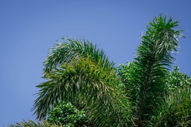 Avuç içi gökyüzü ve bulutların üstünde