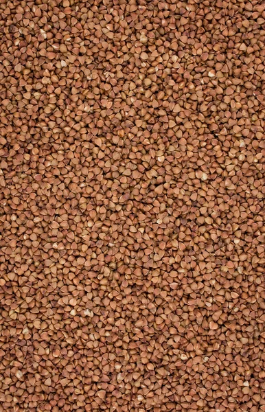 Buckwheat Seeds Background Close — Stock Photo, Image