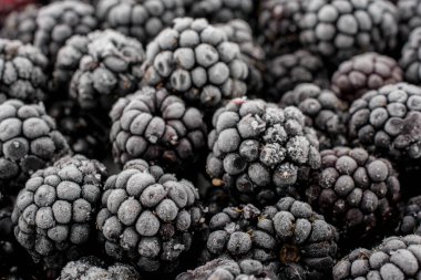 Dondurulmuş böğürtlen demet yakın