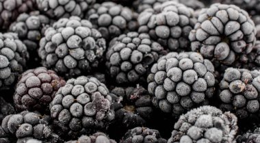 Dondurulmuş böğürtlen demet yakın