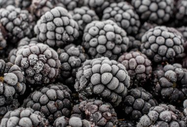 Dondurulmuş böğürtlen demet yakın