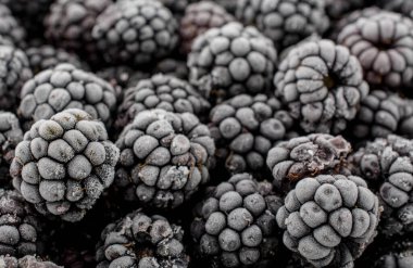 Dondurulmuş böğürtlen demet yakın