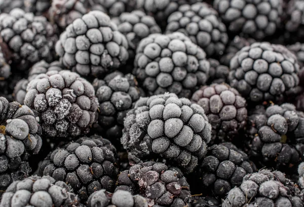 Dondurulmuş böğürtlen demet yakın