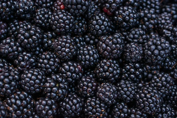 Blackberry Fruta Primer Plano Fondo Horizontal — Foto de Stock