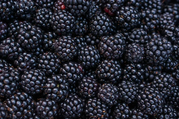 Blackberry Frutta Primo Piano Sfondo Orizzontale — Foto Stock