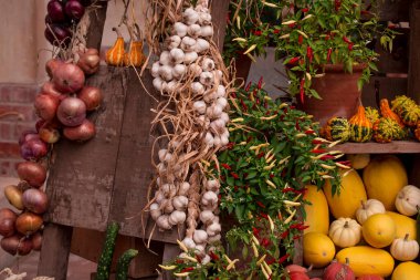 çok renkli kabak görüntülerinin düzenlenmesi 
