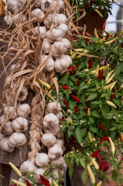 çok renkli kabak görüntülerinin düzenlenmesi 