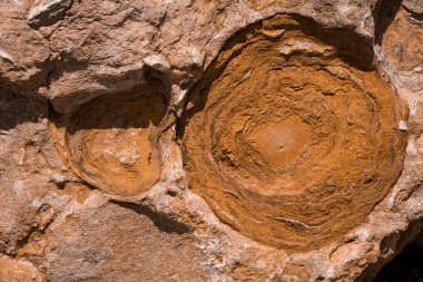 Hive Beach 'teki uçurum dokusu, Burton Bradstock, Bridport, Do