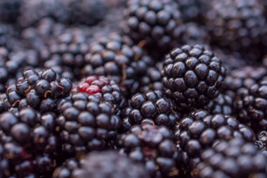 Böğürtlen meyve closeup arka plan yatay