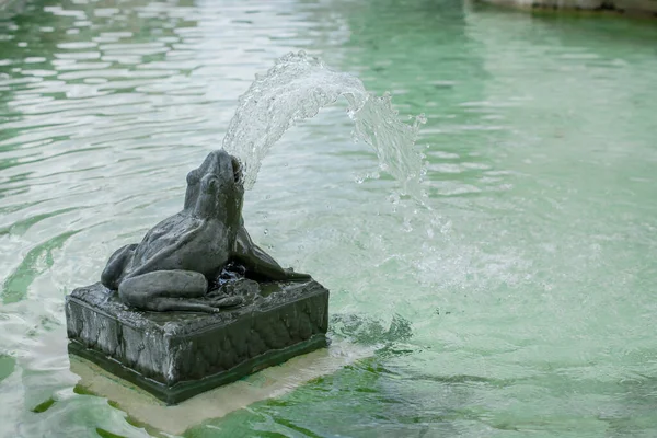 Fuente Rana Piedra Jardín —  Fotos de Stock