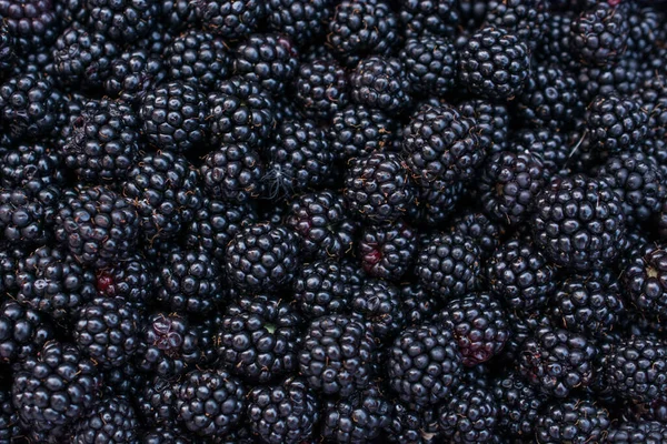 黑莓水果特写背景水平 — 图库照片