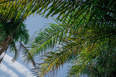  Avuç içi gökyüzü ve bulutların üstünde