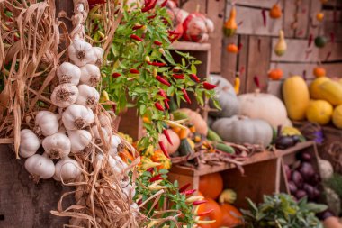 çok renkli kabak görüntülerinin düzenlenmesi 