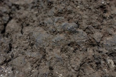 Gri fayanslar volkanik taş dokusu ve arka plan