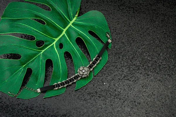 Black Background Green Leave Necklace — 图库照片