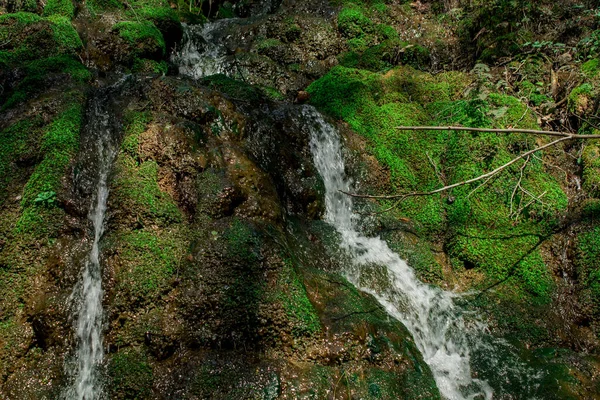 Wodospad Pikniku Nad Rzeką Dim — Zdjęcie stockowe