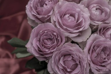 Güzel taze güllerle dolu tebrik kartı ve kopyalama alanı.