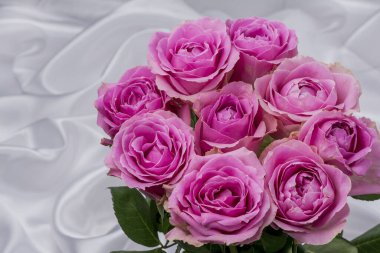 Güzel taze güllerle dolu tebrik kartı ve kopyalama alanı.