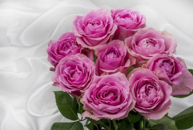 Güzel taze güllerle dolu tebrik kartı ve kopyalama alanı.