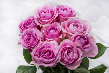 Güzel taze güllerle dolu tebrik kartı ve kopyalama alanı.