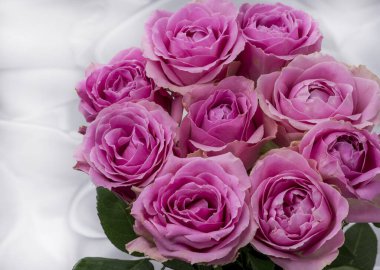 Güzel taze güllerle dolu tebrik kartı ve kopyalama alanı.