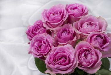 Güzel taze güllerle dolu tebrik kartı ve kopyalama alanı.