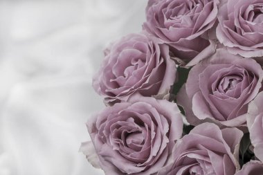 Güzel taze güllerle dolu tebrik kartı ve kopyalama alanı.