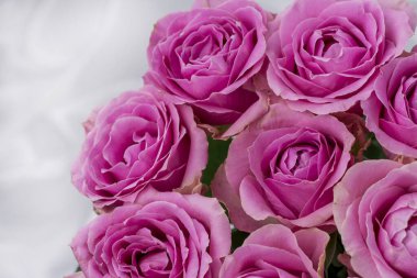 Güzel taze güllerle dolu tebrik kartı ve kopyalama alanı.