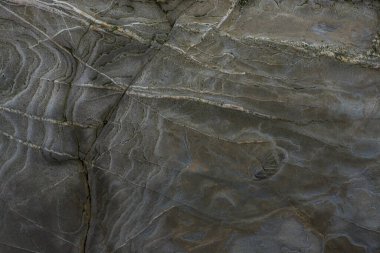 Taşın soyut doğal arka planı ve tuhaf bir dokusu var. 