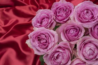 Güzel taze güllerle dolu tebrik kartı ve kopyalama alanı.