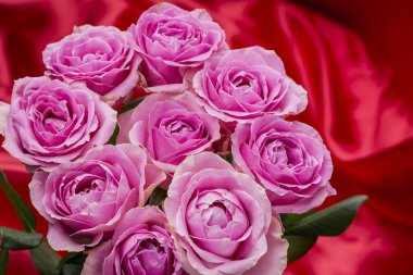 Güzel taze güllerle dolu tebrik kartı ve kopyalama alanı.