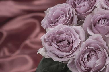 Güzel taze güllerle dolu tebrik kartı ve kopyalama alanı.