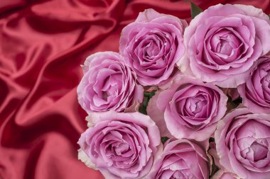 Güzel taze güllerle dolu tebrik kartı ve kopyalama alanı.