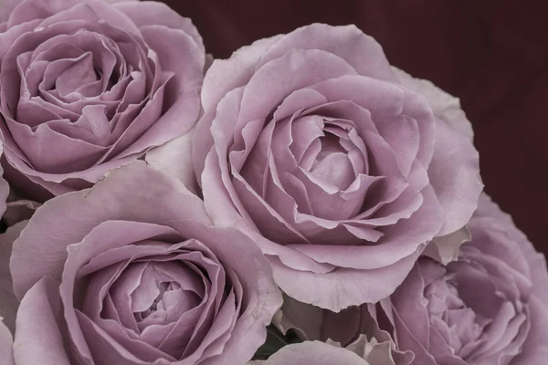 Güzel taze güllerle dolu tebrik kartı ve kopyalama alanı.