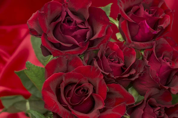 Cartão Saudação Com Belas Rosas Frescas Espaço Cópia — Fotografia de Stock