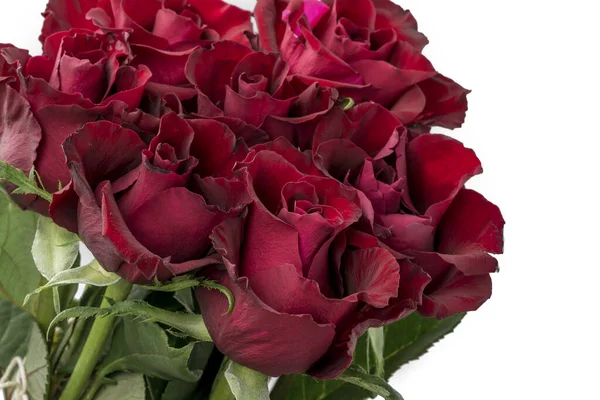 Tarjeta Felicitación Con Hermosas Rosas Frescas Espacio Para Copiar — Foto de Stock