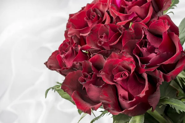 Greeting Card Beautiful Fresh Roses Copy Space — Fotografia de Stock