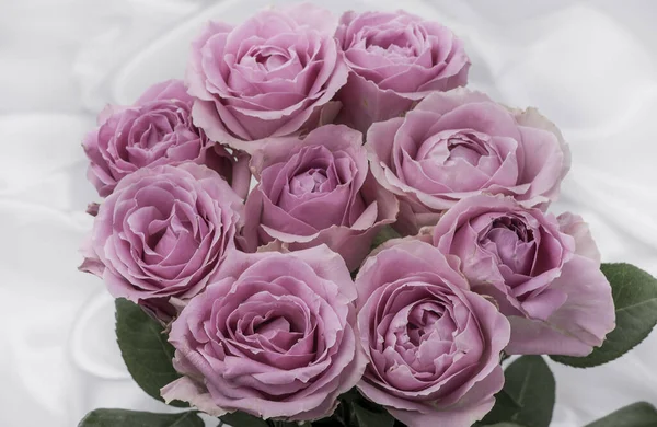 Güzel taze güllerle dolu tebrik kartı ve kopyalama alanı.