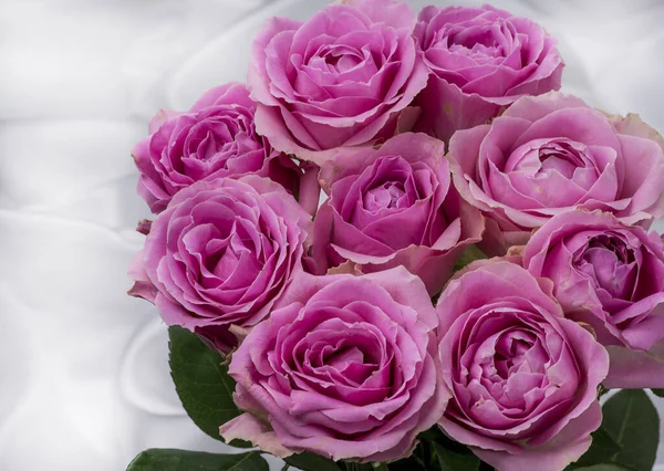 Güzel taze güllerle dolu tebrik kartı ve kopyalama alanı.