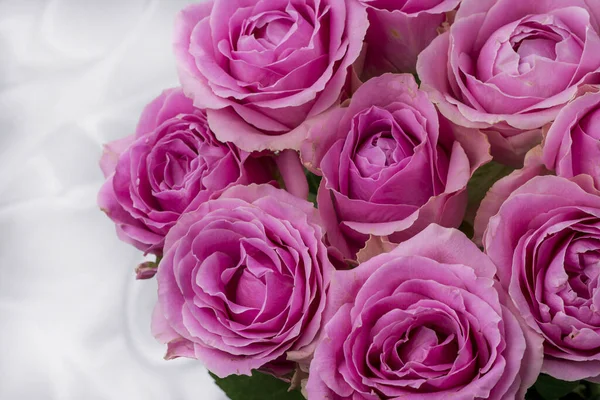 Güzel taze güllerle dolu tebrik kartı ve kopyalama alanı.