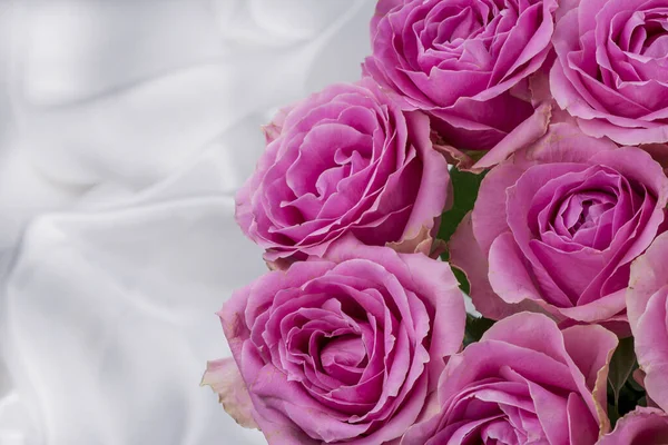 Güzel taze güllerle dolu tebrik kartı ve kopyalama alanı.