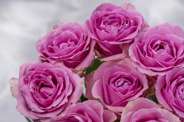 Güzel taze güllerle dolu tebrik kartı ve kopyalama alanı.