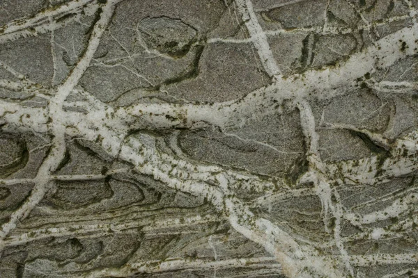 Taşın soyut doğal arka planı ve tuhaf bir dokusu var. 